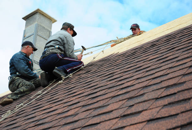 Best Metal Roofing Contractor  in Spring Valley, IL
